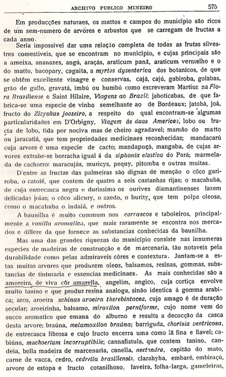 Chorografia Mineira - Dcima quinta parte